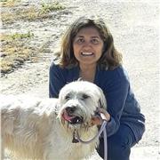 Doy clases particulares de Inglés